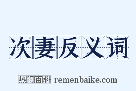 次妻反义词是什么意思的图片